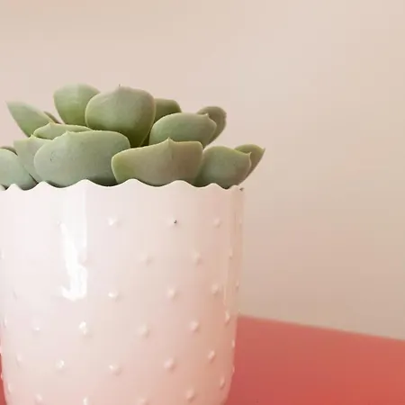 Apartament Italianway Collection - Stradivari 4 Mediolan