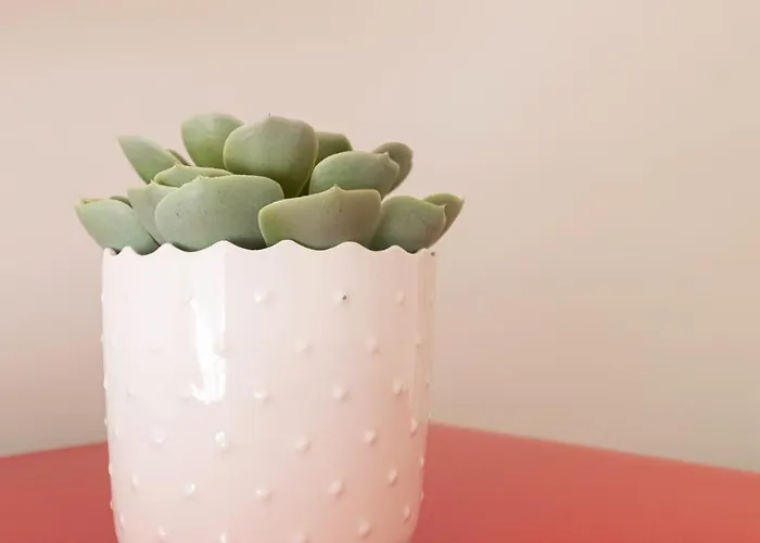 Апартаменты Italianway Collection - Stradivari 4 Милан